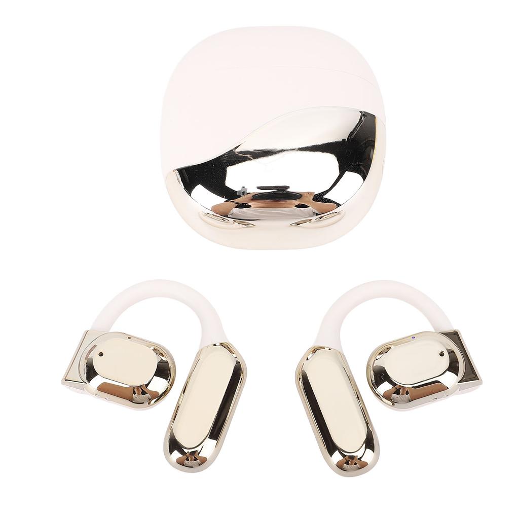 Translation Earbuds Earhook Active Noise Reduction Wireless   AI Language Translator Earbuds