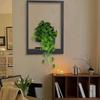 Picture Frame Wall Plant Holder Picture Frame Plant Holder, Metal Window Plant Shelves, Plant Frames Wall Decor for Home Display