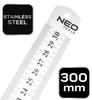 Ruler 30 Cm, Stainless Steel