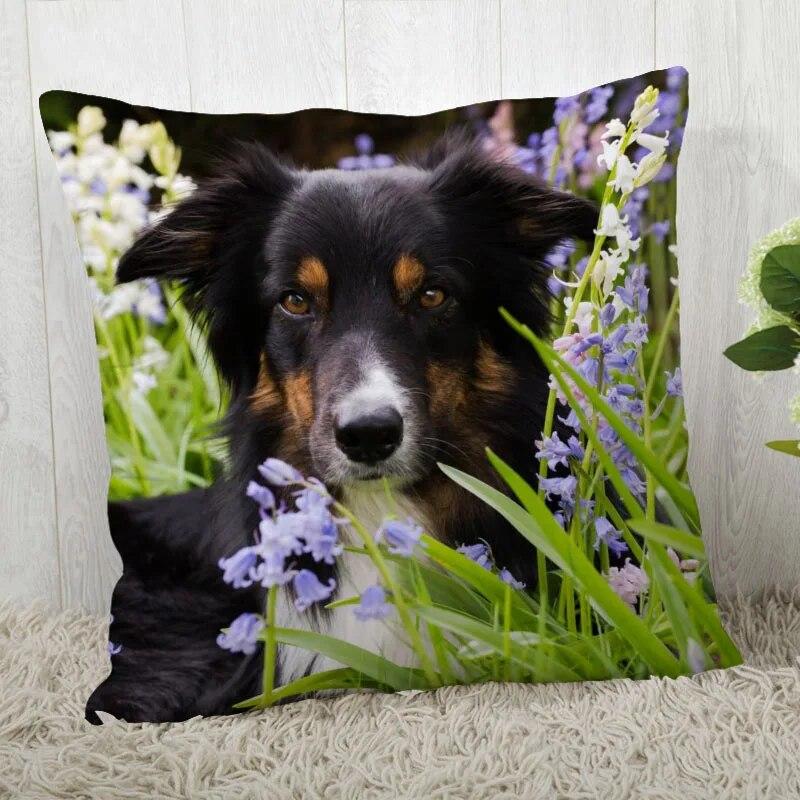 Pillowcase Border Collie  Modern Home Living Room Decor