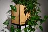 Shape Oak loft plant stand 22x22x80 cm