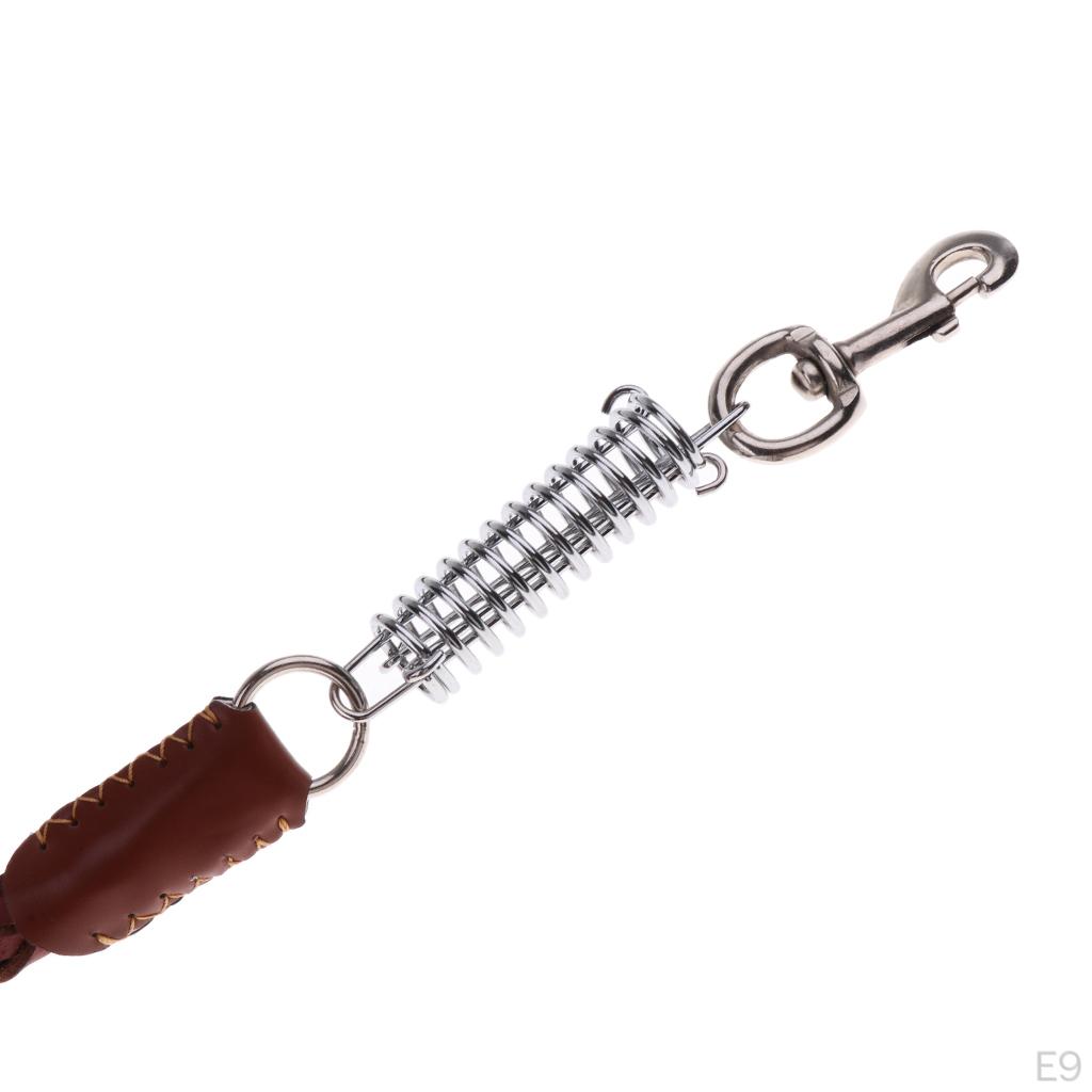 Pet Walking Training Dogs Leashes Medium Puppy Black,Brown
