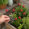 Outdoor Garden Decorative Stakes Set of 10 Insect Lawn Ornaments with Metal Rods for Yard Patio and Plant Decoration