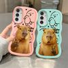 Capybara Cute Fashion Soft Phone Cover Case for Samsung Galaxy A21s A12 A52 A15 A16 A13 A11 A14 A06 A04 A05 A22 A33 A03 A53 A23