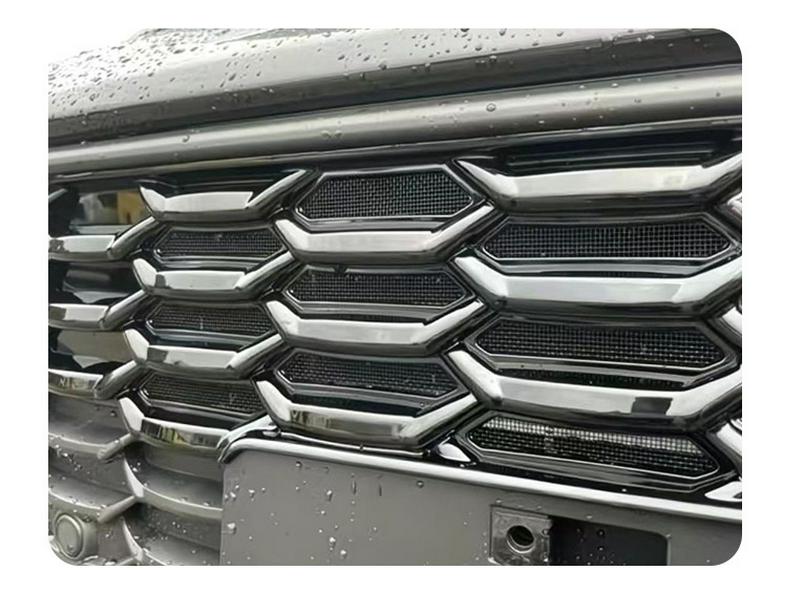 Insect and Pollen Protection Grille Cover for Toyota Sienna