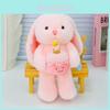 Plush Rabbit Doll With Holding A Cake Design For Kids Gift And Collection