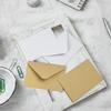 100 Pack Gift Card Envelopes 4 x 2.75 Inches Mini Envelopes 120 GSM Small Paper Business Gift Card Holders Bulk Compact Greeting Card Envelope Po