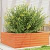 VidaXL Planter Wax Brown 70x70x23 Cm Solid Pine Wood, Outdoor Planter, Flower Box, Plant Box, 847195