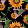 Outdoor Dekostoffe Oxford - Motiv Sonnenblumen I Dx251