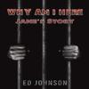 Why Am I Here by Ed Johnson Paperback Book 9781035810000