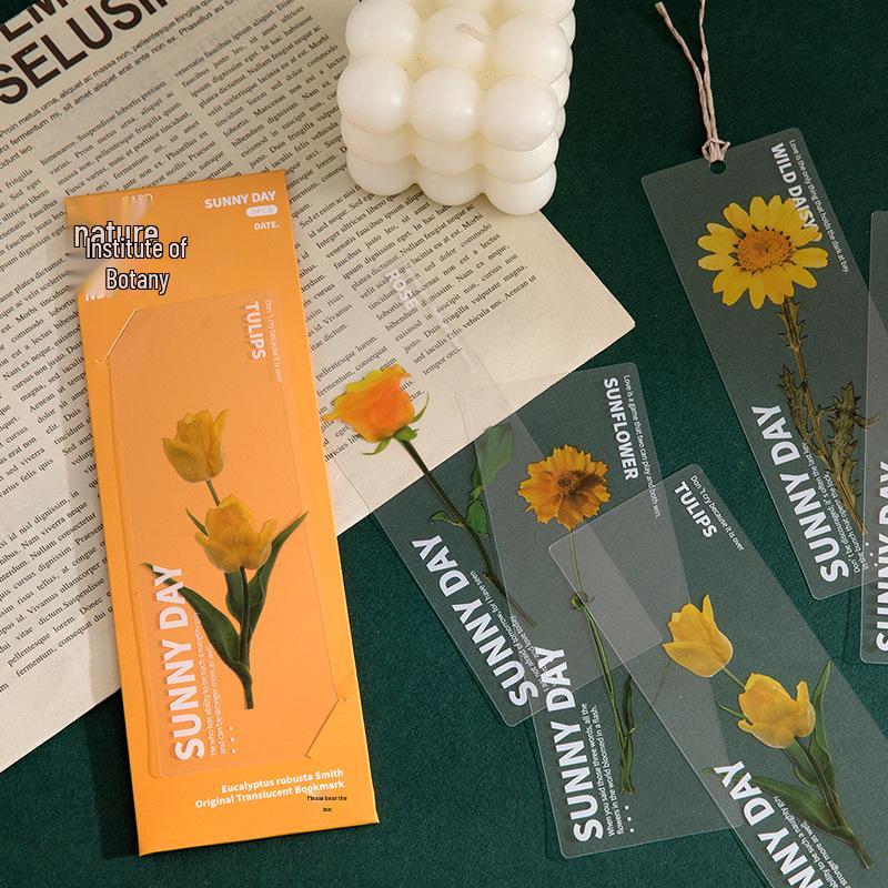 Momo Dried Flower Bookmark Set: 6 Translucent PET Designs for Journals & Books