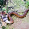 Children's Prank Toy: Soft Rubber Snake & Lizard Models - Cobra, Viper, Rattlesnake, Golden Python