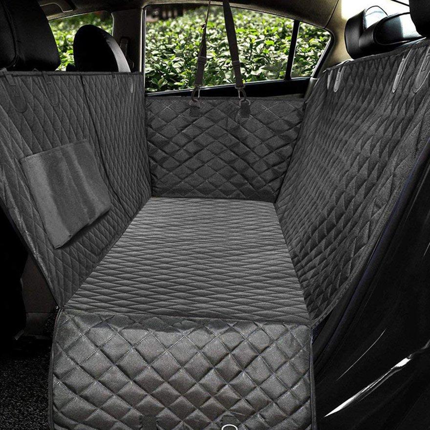 chewy car seat