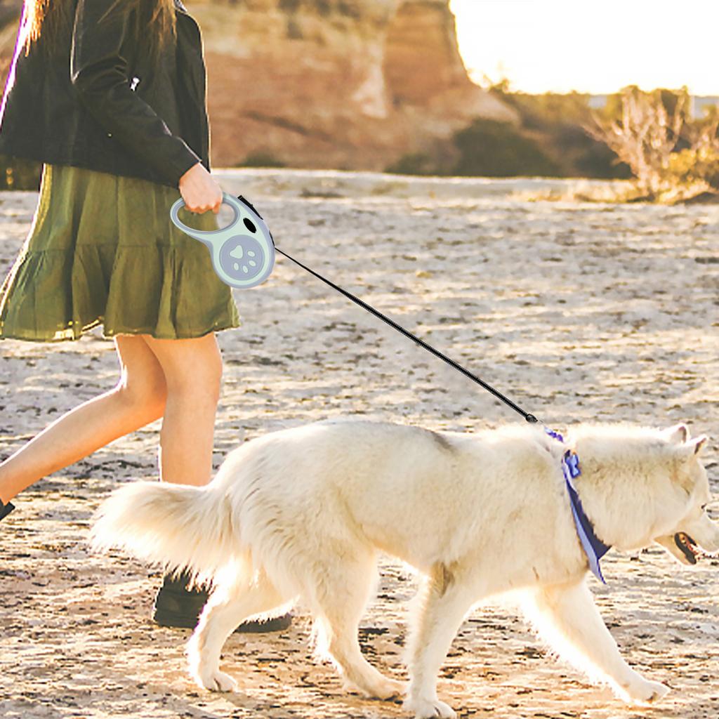 Automatic Retractable Dog Leash For Medium To Large Dogs, Outdoor Retractable Dog Walking Leash And Chain