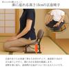 AITECH Seiza Chair with Back, Steel, Width 41.5cm, Depth 28.5cm, Height 30cm, Fully Assembled, Brown, SZA-02 BR