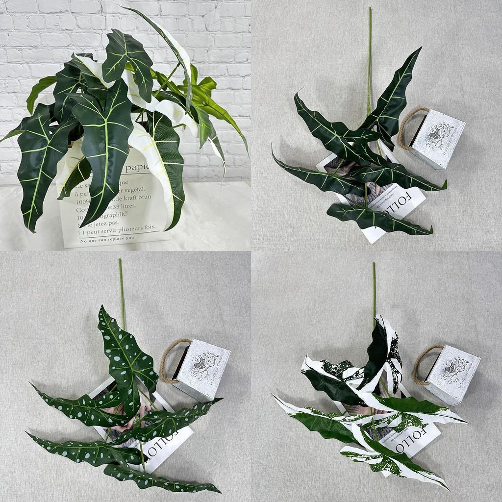 Künstliche grüne Pflanze Alocasia Odora mit lebensechtem Laub für Party- und Eventdekoration