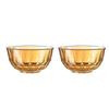 LocknLock Crystal Amber 2-Piece Glass Food Container Set