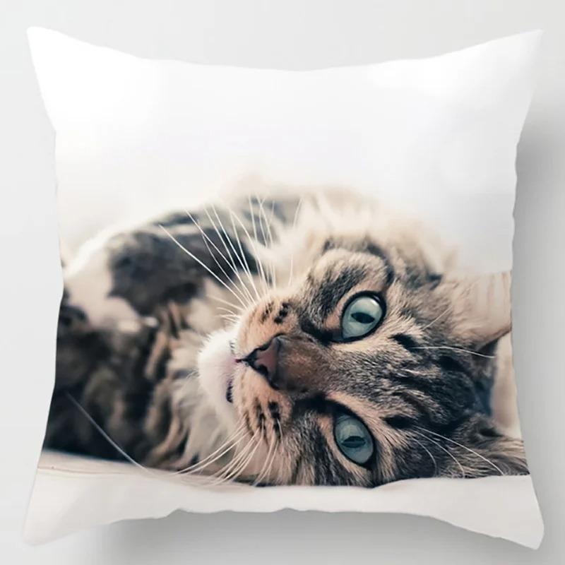Süße Katze Umarmungskissenbezug Haustier Interaktive Illustration Kissen Heilende Heimdekoration Sofakissen
