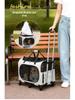 Portable Foldable Pet Carrier for Two Cats with Breathable Design and Large Capacity