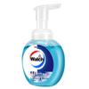Walch Health Care Foaming Hand Wash Twin Pack