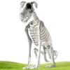 Halloween Skeleton Dog Plastic Puppy Skeleton Sculpture Realistic Halloween Skeleton Dog Statue Skull Bone Art Ornaments
