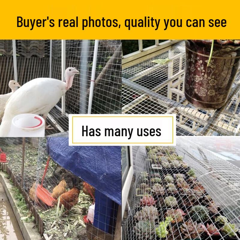 BENXINNONG Galvanized Welded Wire Mesh Roll
