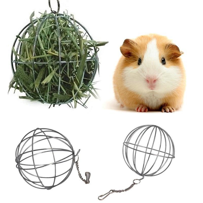 guinea pig exercise wheel