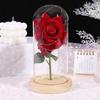 Valentine's Day Gift, Dried Flower Glass Cover, Rose Led Night Light Ornament, Small Gift for Girlfriend