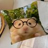 Funny Sad Hamster Emoticon   Pillow Cover for Bedroom Room and Living Room Sofa Decorative Cushion Cover