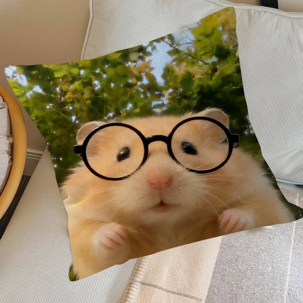 Funny Sad Hamster Emoticon   Pillow Cover for Bedroom Room and Living Room Sofa Decorative Cushion Cover