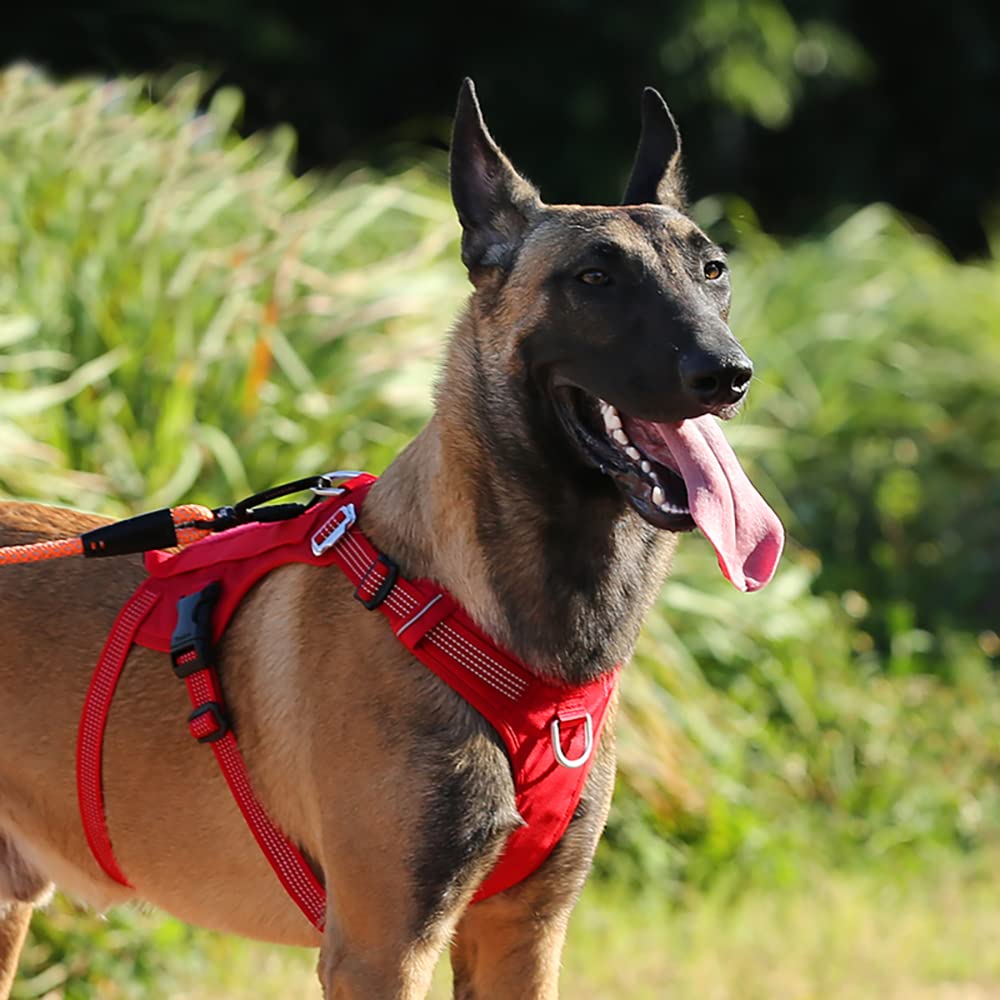Paradise PRO Dog Official Japanese Double Easy To Durable Neoprene for Medium and Large Dogs Red J&C Harness, Retailer, Anti-Slip, H-Shaped, Attach,