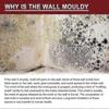 3x Anti-Mould Cleaning Foam Spray Effective Mould Remover Agent Mildew Cleaner