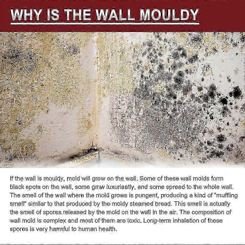 3x Anti-Mould Cleaning Foam Spray Effective Mould Remover Agent Mildew Cleaner