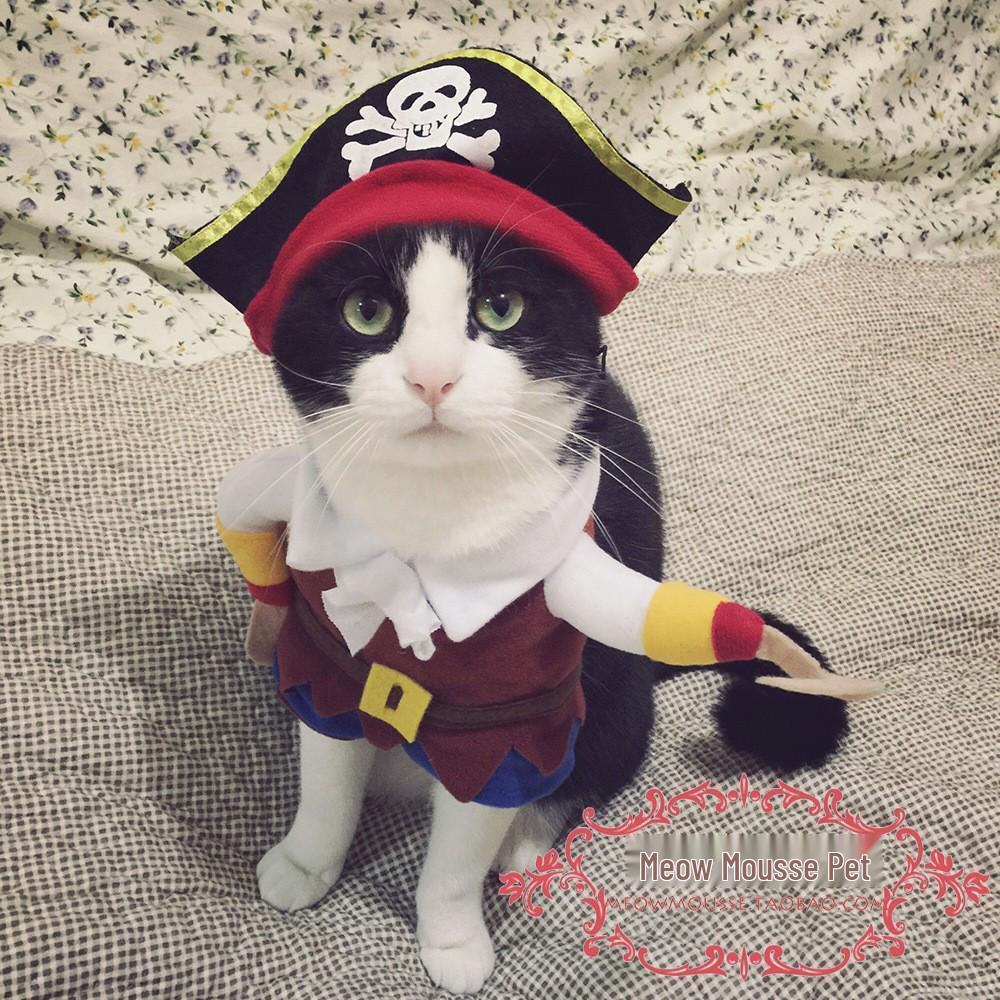 

Universal Pirate Costume for Dogs - Cute Two-Legged Pet Outfit Medium