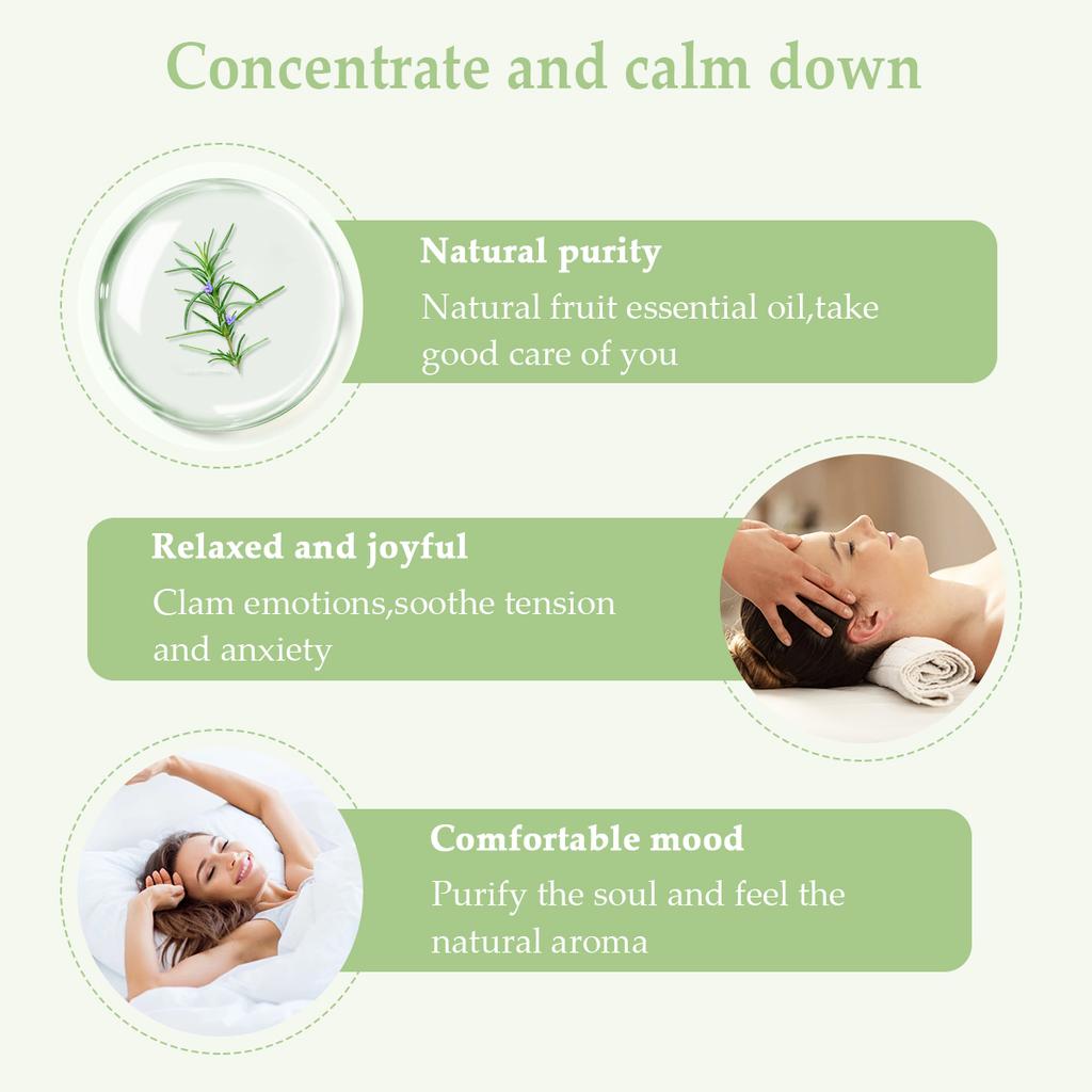 PHATOIL 3 szt. Zestaw olejków eterycznych pudełko eukaliptusowe drzewo herbaciane olejek rozmarynowy aromaterapia do dyfuzora świeżego powietrza sterylizacja ciała