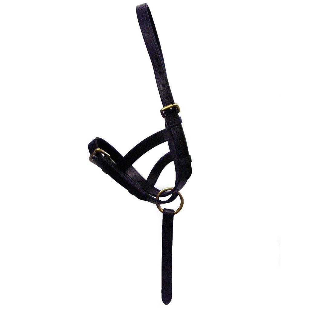 Hy Leather Foal Slip