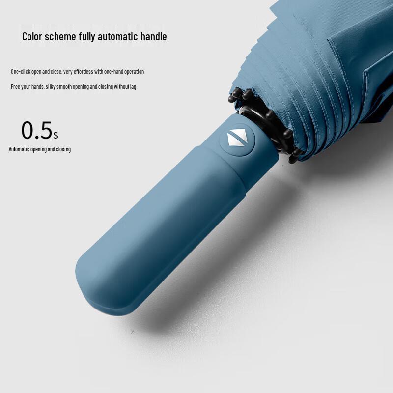 Automatic 10-Rib Sun/Rain Umbrella