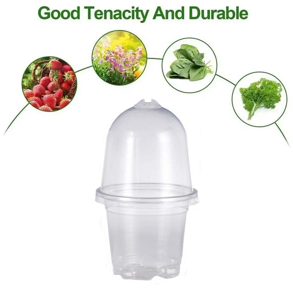 10/20Pcs Seedling Nursery Cup Thickened 3.5/4/5/6 Inch PET Garden Herb Flower Cultivation Seeds Germinate Seedling Pot with Lid