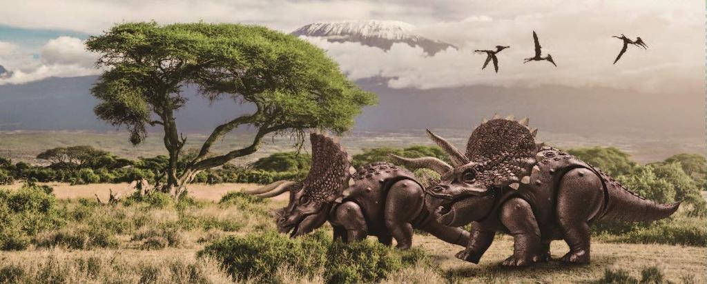 Fujimi Modell Freie Forschung Serie 2 Dinosaurier Edition Triceratops Plastikmodell Freie Forschung 2 Frei Nein. Nicht-Maßstabs-Vorgefärbte Forschung-2