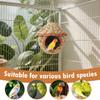 Bird House Outdoor Garden Decoration Birdhouses Hut Bird Nesting House For Sparrow Parakeet Parrot Cockatiel Finch Canary