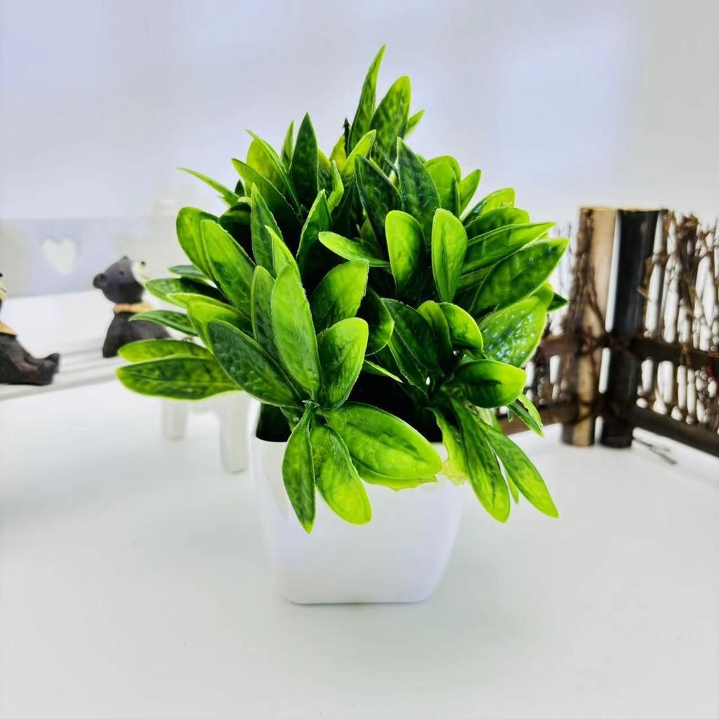 Myrica Rubra Blatt Zitrusblatt Künstliche Grüne Topfpflanze Heimdeko Und Geschenk