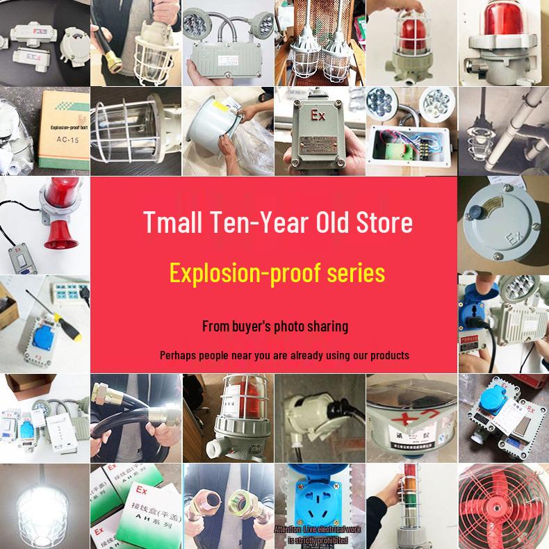 BBJ-1 Explosion-Proof LED Alarm with Sound and Light, 110dB.