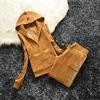 2 Pieces of Women's Outfit Fall Winter Women's Tracksuit Crystal Hoodies and Pant Sets Y2K Velvet Tracksuit