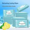 Cooling Facial Wipes: Ice-Cooling Sweat & Oil Control for Military and Student Use
