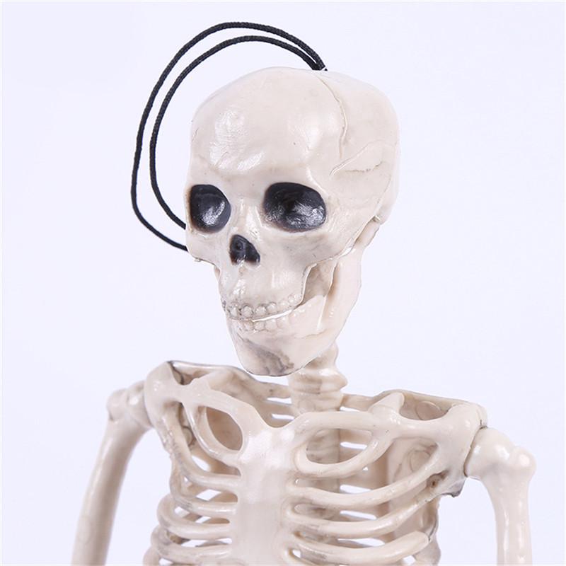 40cm Active Human Skeleton Model Medical Learning Anatomy Skeleton Modle Halloween Party Decoration