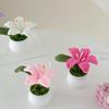 Flowers Hand-Knitted Lily Potted Delicate Crochet Woven Flowers Pot Gift Room Home Decoration