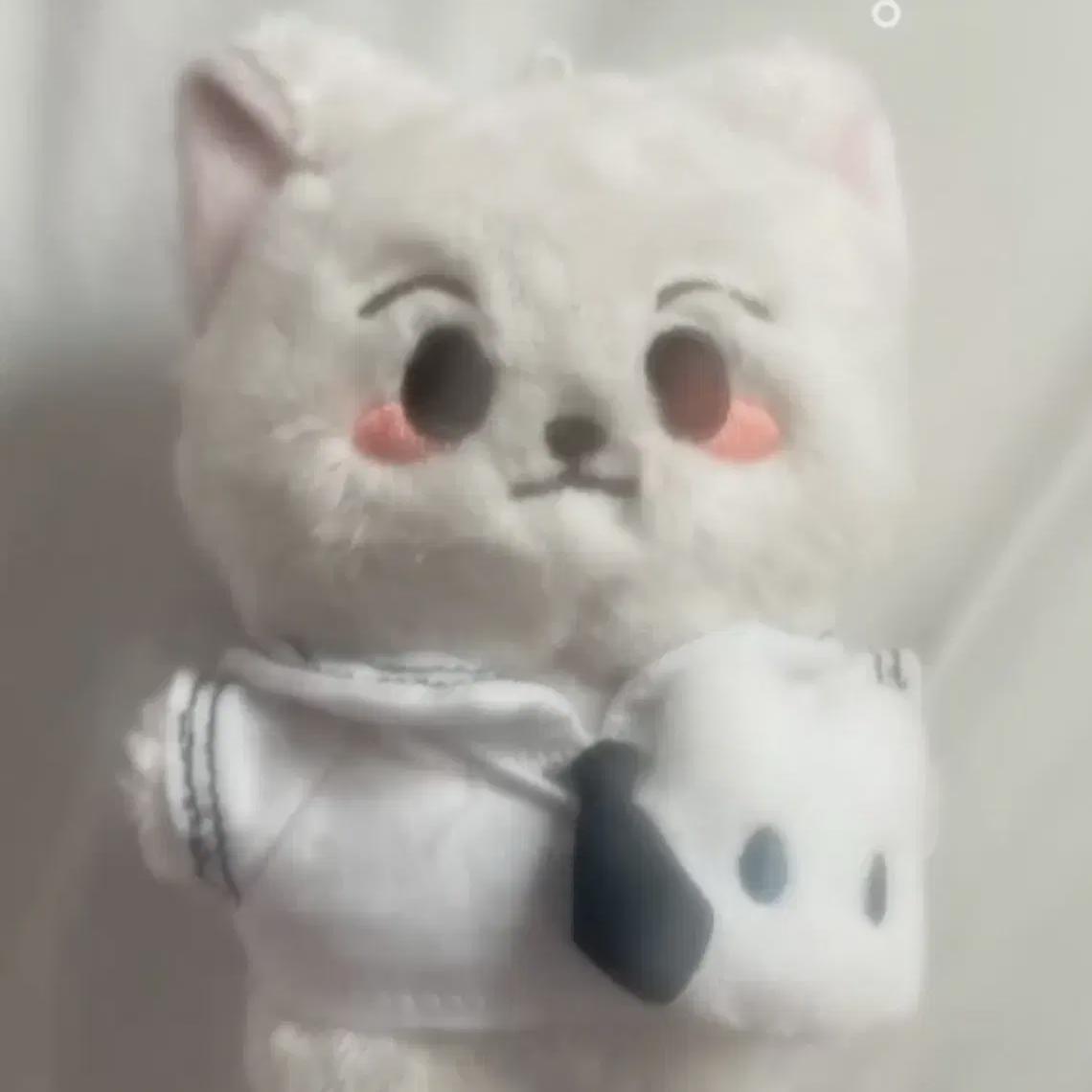 

Nct Dream Ren Renjun s Doll Run-chan Sells It