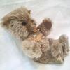 [USED] Antique Steiff Teddy Bear, Stuffed Bear, Steiff