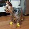 Set da 4 Pezzi Sandali per Animali Domestici Estivi Accessori per Passeggiate con Cani Scarpe Traspiranti in Rete per Cani Piccoli Chihuahua Pomerania Schnauzer Cucciolo buty dla psa