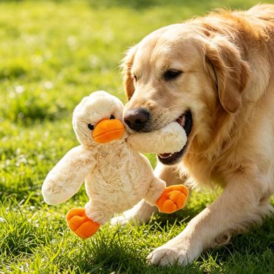 Plush Duck Dog Toy Squeaky Soft Stuffed Animal Dogs Chew Toy Puppy Teething Toy for Dogs Snuggle Interactive Tug-of-War Play